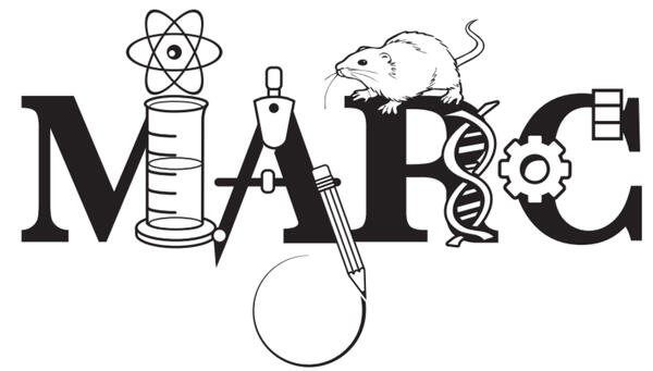 Maximizing Access to Research Careers